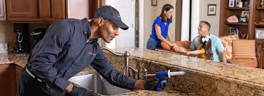 Best Pest Prevention Services  in Holland, TX