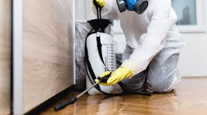 Professional Pest Control in Holland, TX